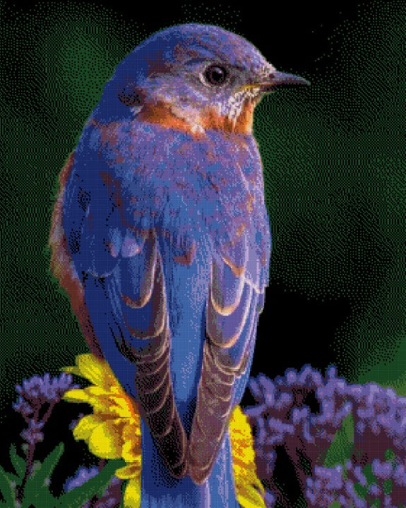 Bird DIY 5D Diamond Painting Kit