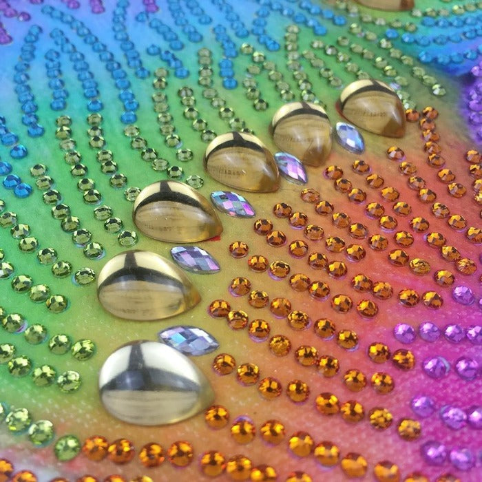 Diamond Painting - Crystal Rhinestone - 2 Colorful Birds【diamondpaintingsart】