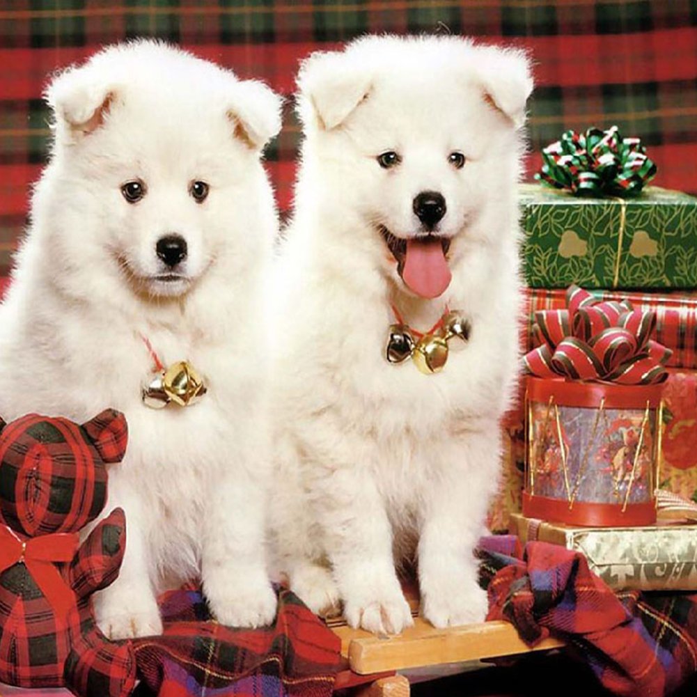 Diamond Painting -Full Round - Dogs