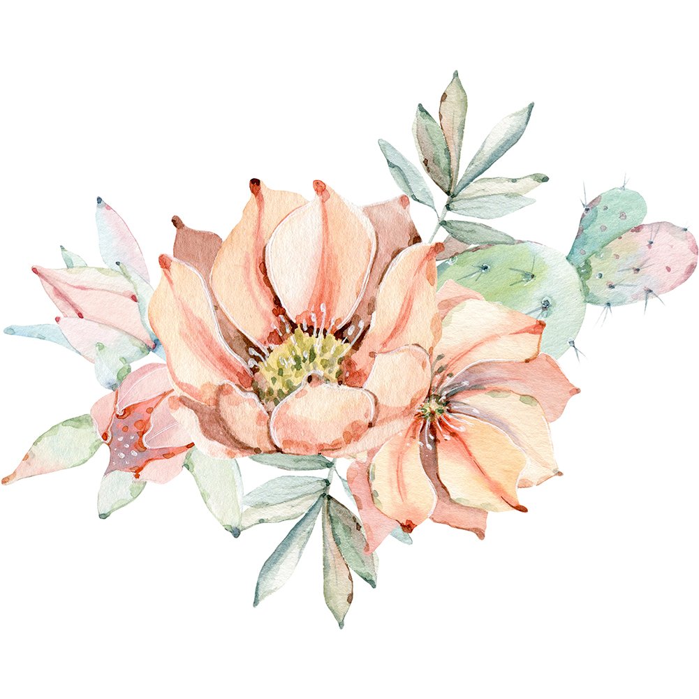 11ct Stamped Cross Stitch Cactus Flower( 50*40cm)
