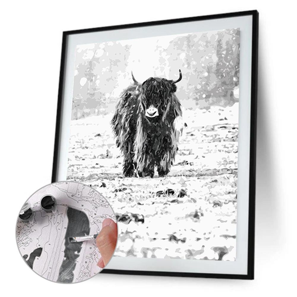Paint By Number - Oil Painting - Snowfield Yak (40*50cm)