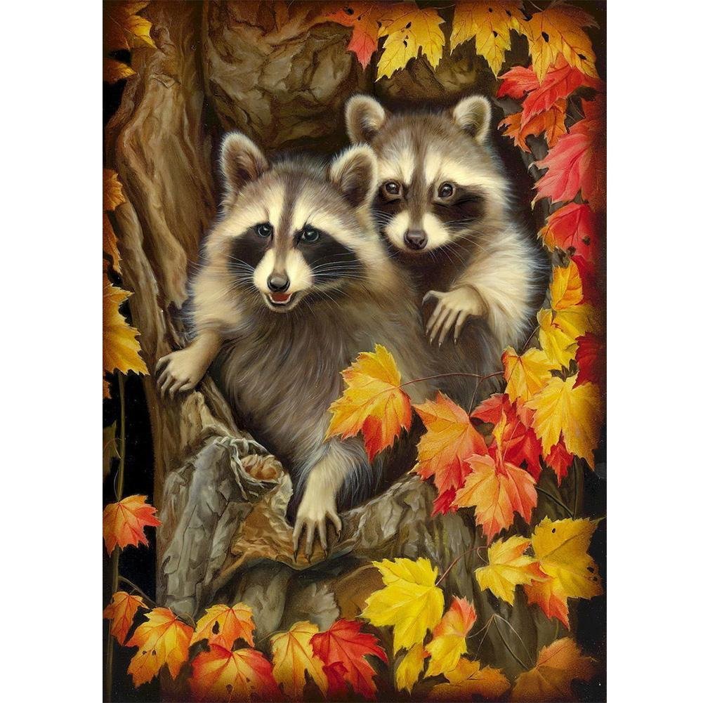 5D Diy Diamond Painting Kit Full Round Beads Raccoon