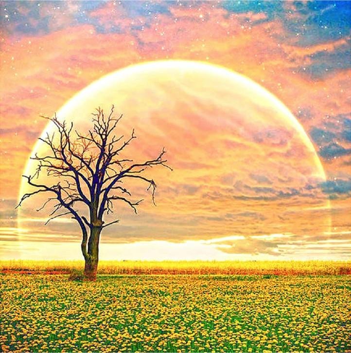 Moon Tree DIY 5D Full Round Beads Art