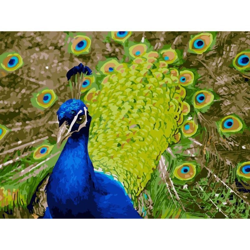 Paint By Number Oil Painting Peacock (40*50cm) diamondpaintingsart