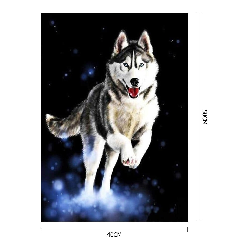 Paint By Number - Oil Painting - Wolf (40*50cm)