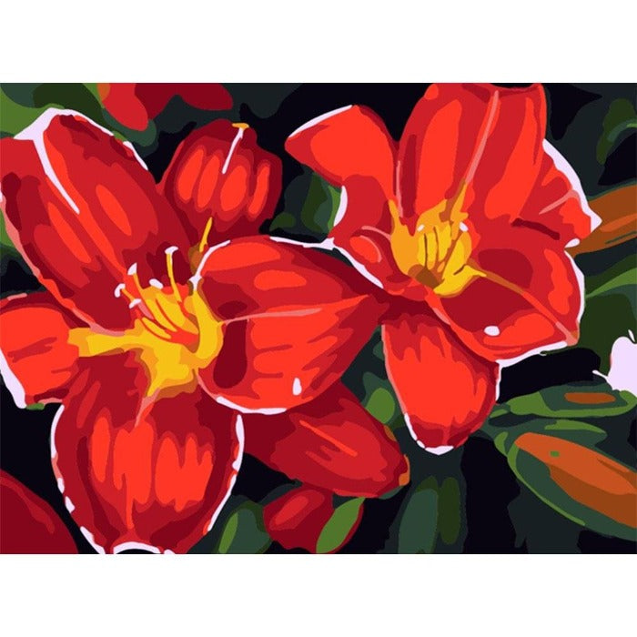 DIY Digital Oil Painting By Numbers Kits Blooming Flowers Canvas Frameless Acrylic Picture Wall Art