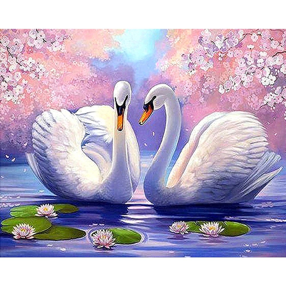 Paint By Number Oil Painting Swan (50*40cm)