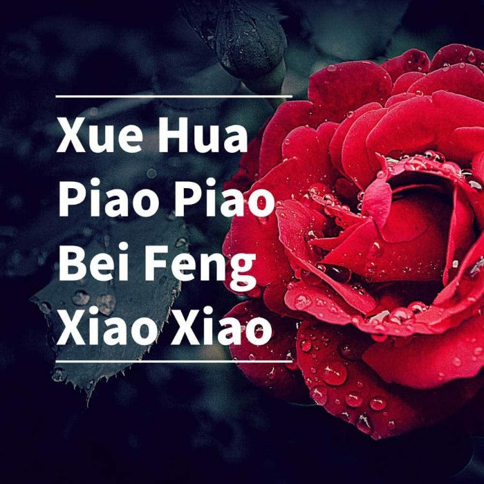 XUE HUA PIAO PIAO 5D Diy Diamond Painting Kit Full Round Beads