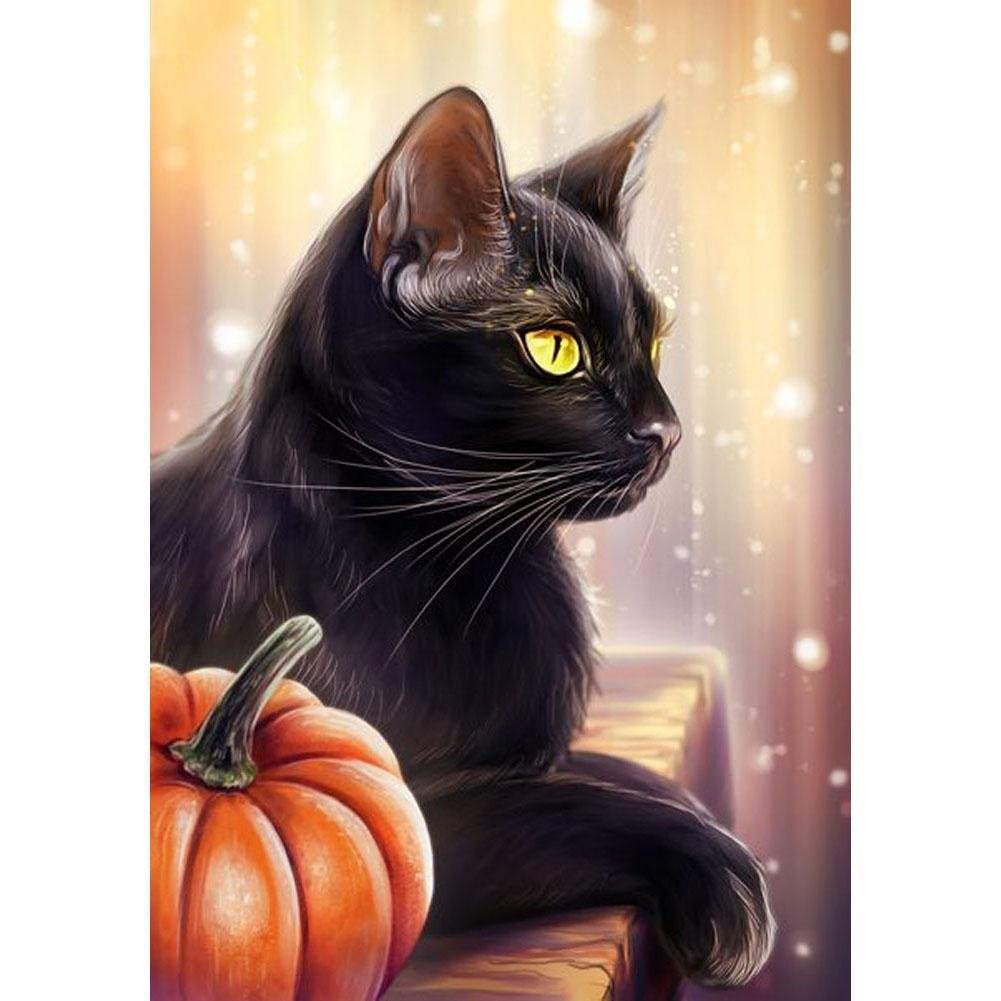 5D Diy Diamond Painting Kit Full Round Beads Black Cat