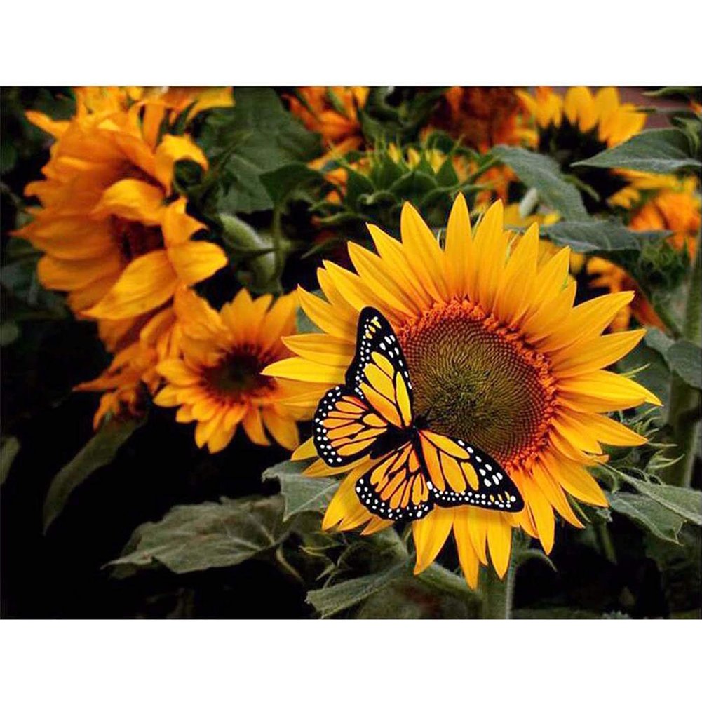5D Diy Diamond Painting Kit Full Round Beads Sunflower Butterfly
