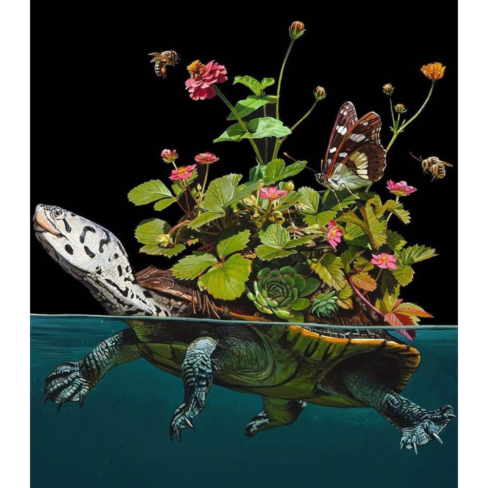 Diamond Paintings Art Full Drill Animal & Plants