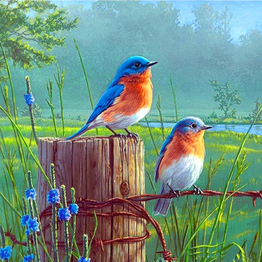 5D Diy Diamond Painting Kit Full Round Beads Colorful Bird