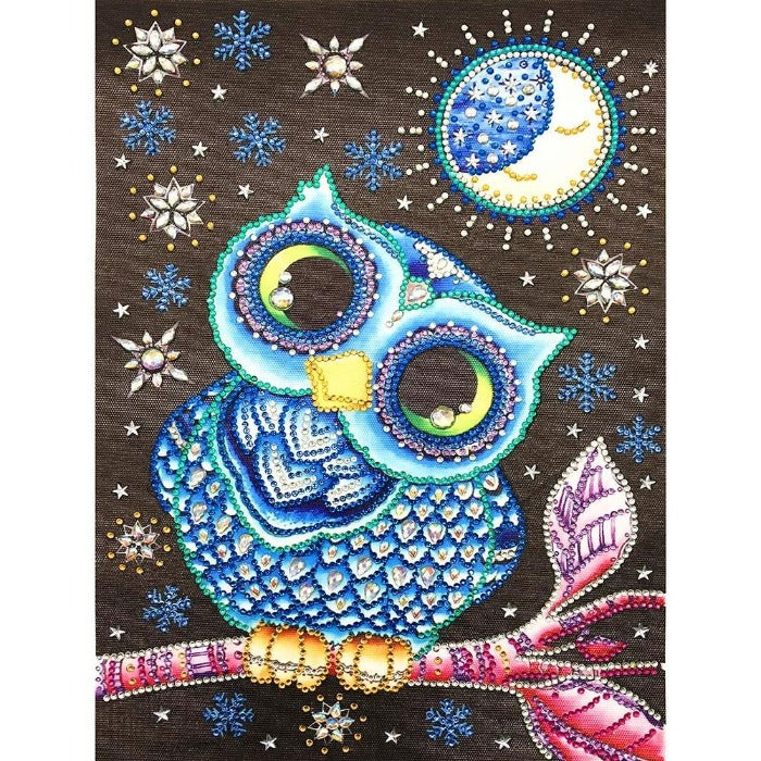 Mid Night DIY 5D Crystal Rhinestone Diamond Painting Kit Owl