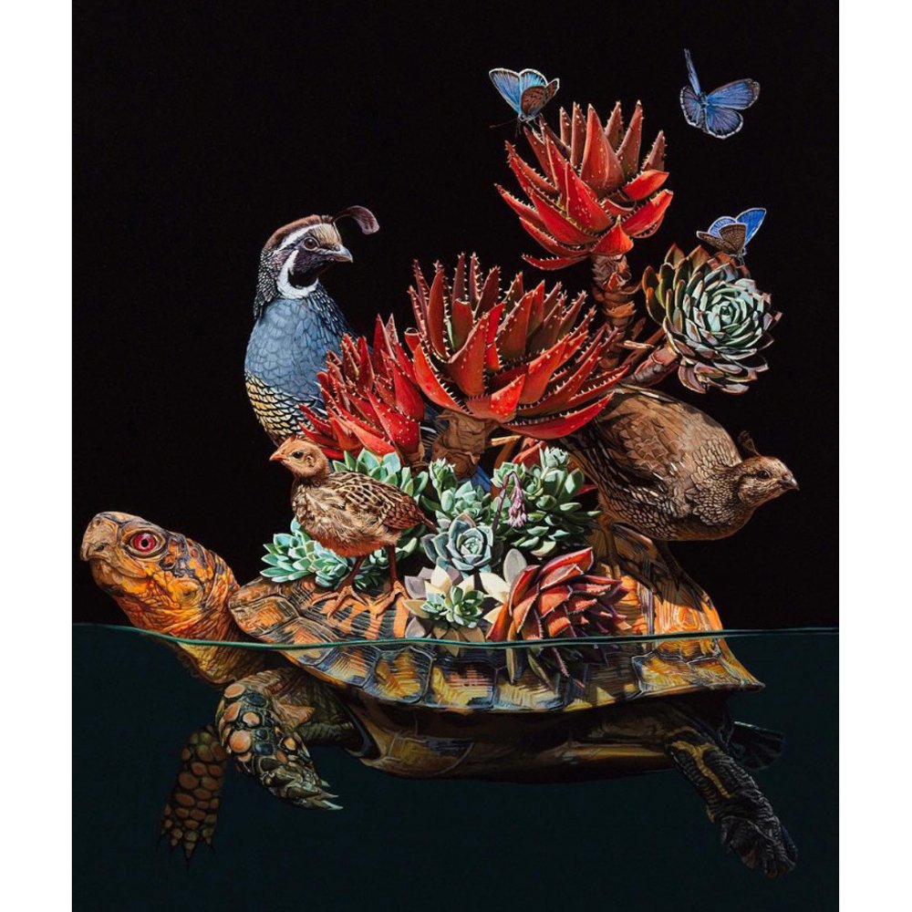 Diamond Paintings Art Full Drill Animal & Plants