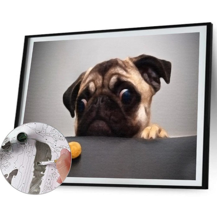Frightened Dog Oil Painting By Number Picture Acrylic Canvas Wall Art Craft