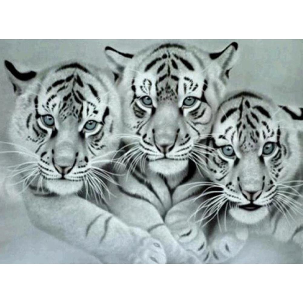 5D Diy Diamond Painting Kit Full Round Beads 3 Tigers