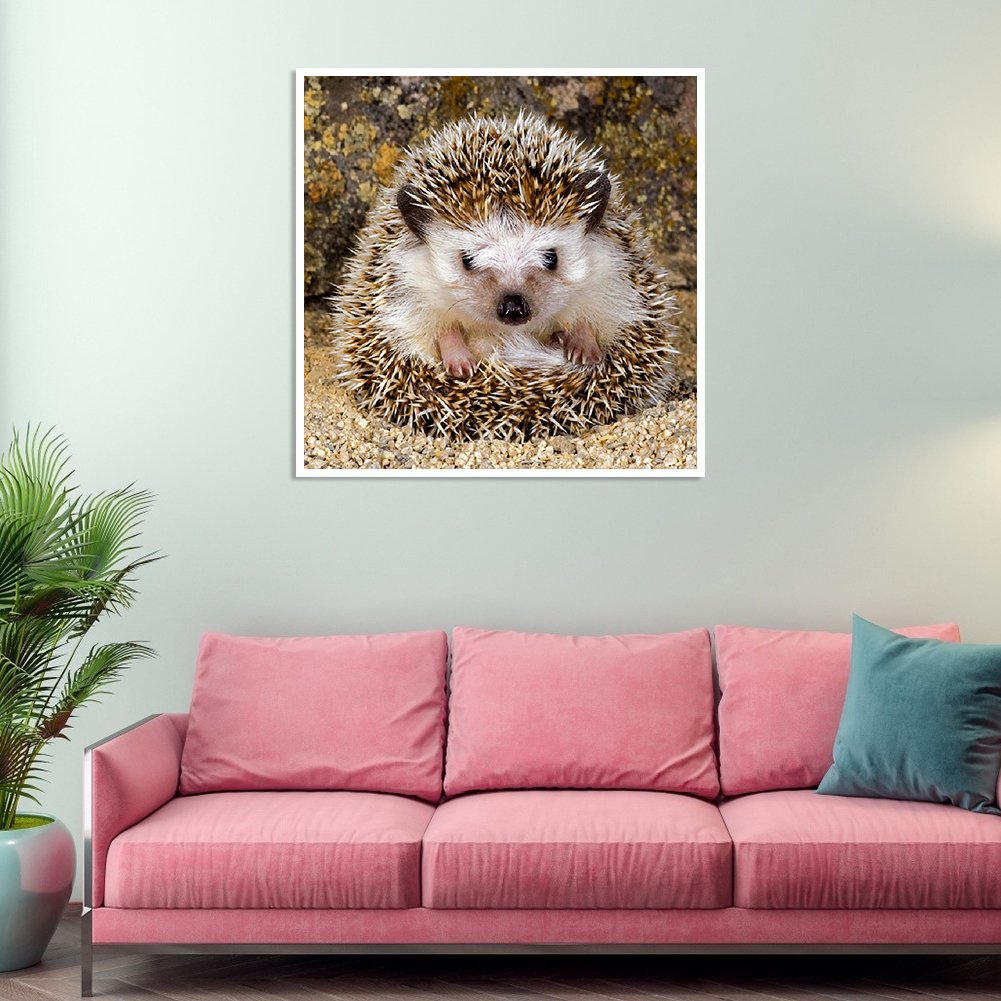 Diamond Painting - Full Round - Hedgehog