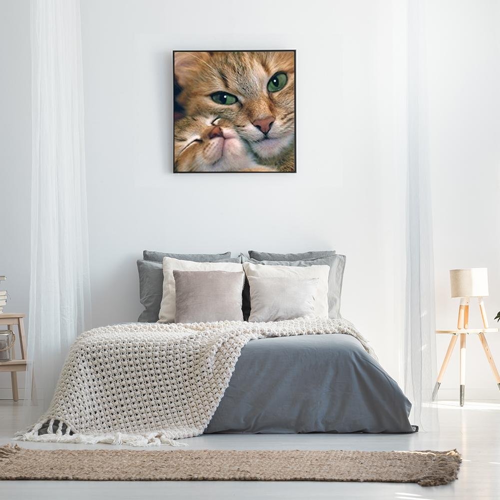 5D DIY Diamond Painting Kit - Full Round - Cute Cat B