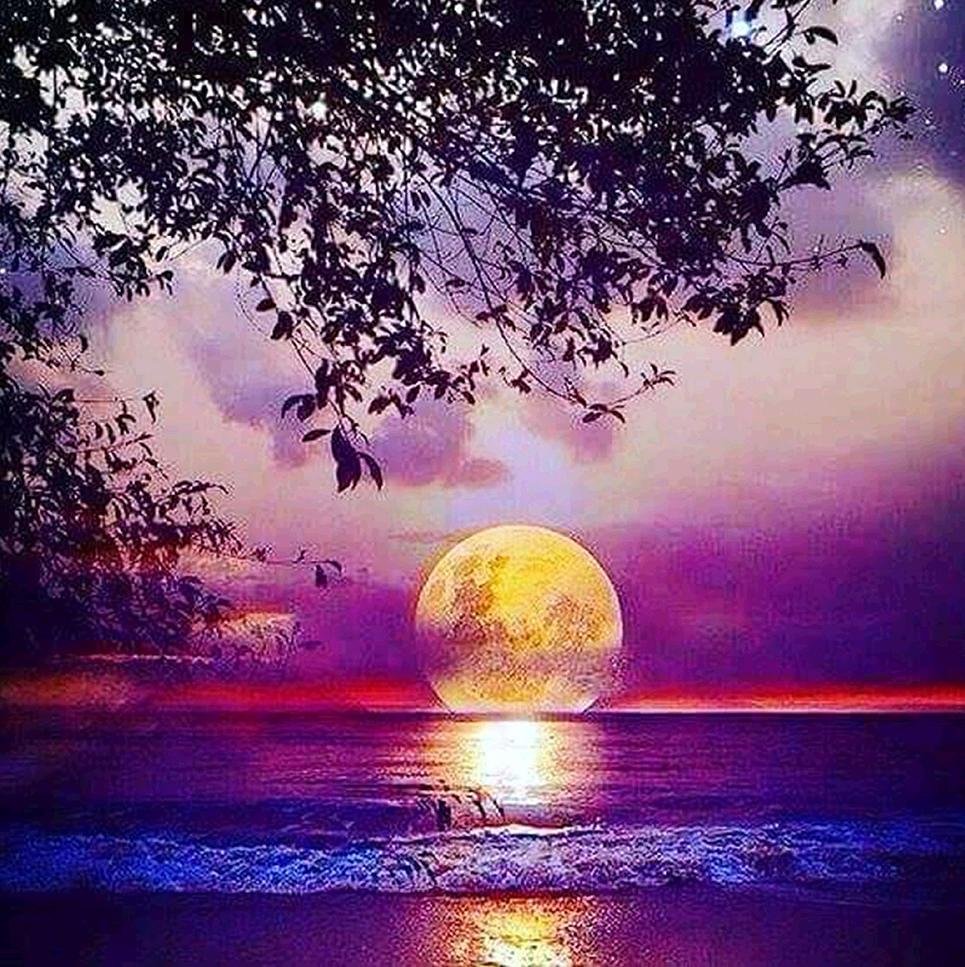 Diamond Painting - Full Round - Rising Moon