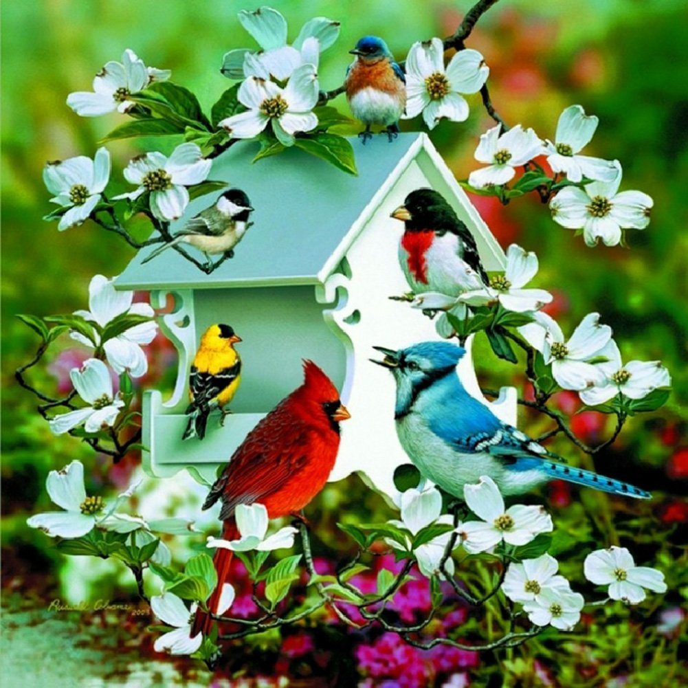 5D Diy Diamond Painting Kit Full Round Beads Flower Bird