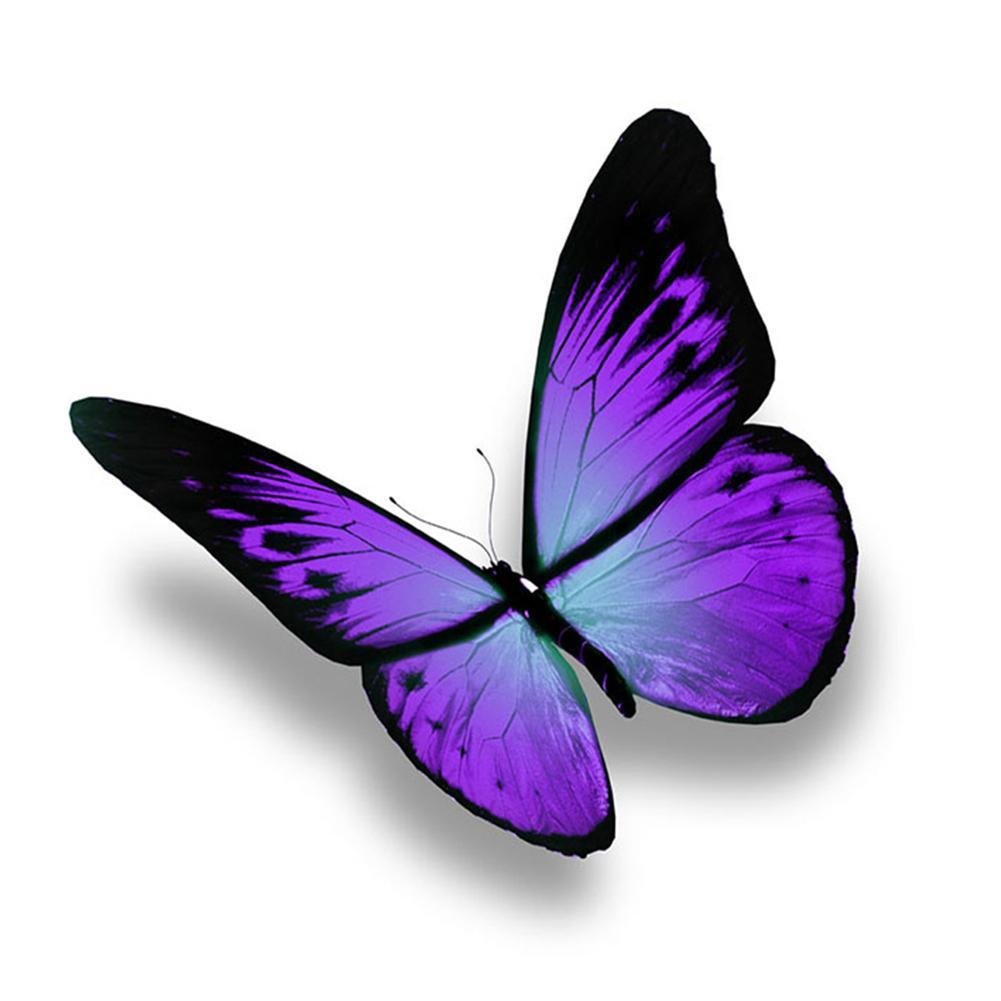 Partial round purple butterfly diamond beads art kits