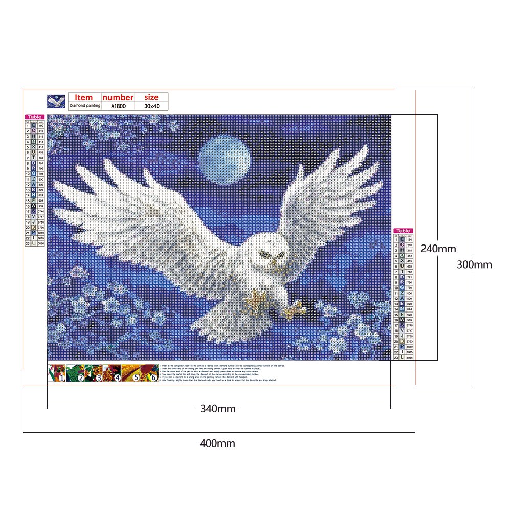 Pintura Diamante - Rodada Completa - Coruja Voadora 2
