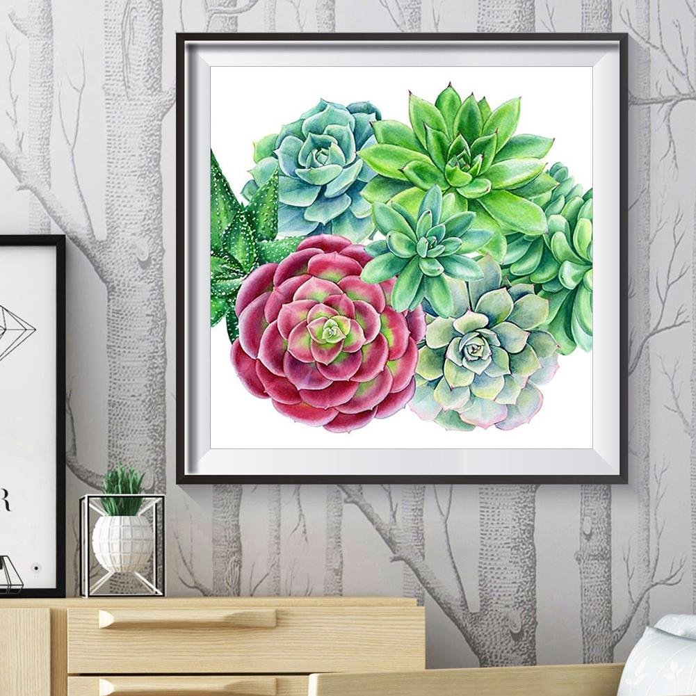 Succulent Plants