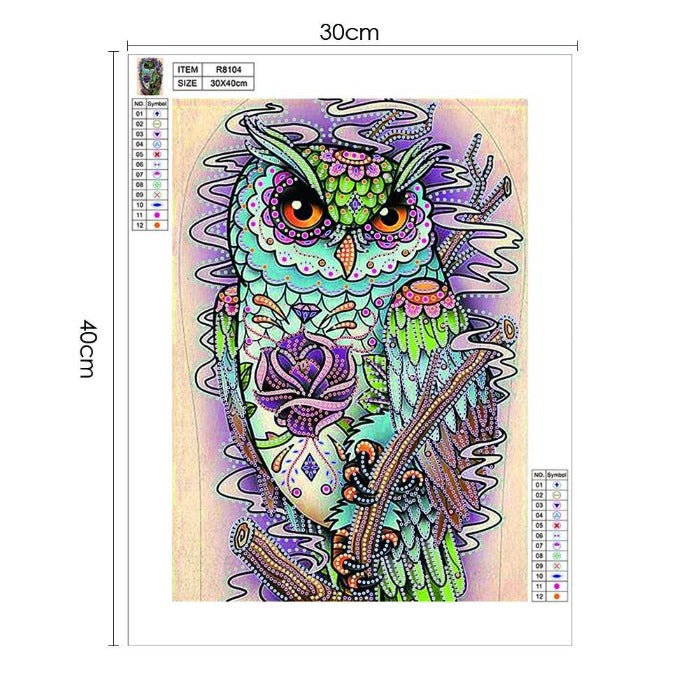 5D DIY DIY 5D Crystal Rhinestone Diamond Painting Kit Owl