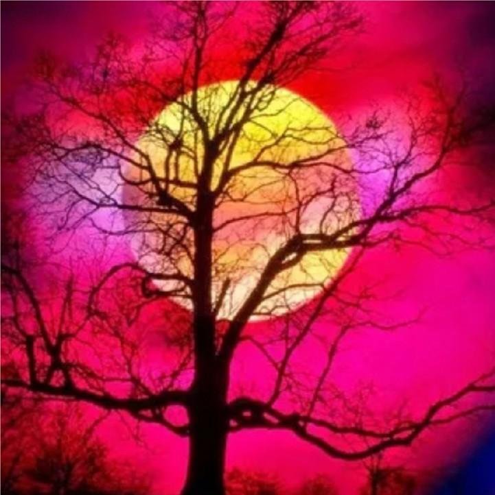 Diamond Painting - Full Round - Moon Tree