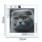 5D DIY Diamond Painting Kit - Full Square - Grey Cat