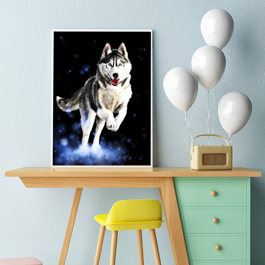 Paint By Number - Oil Painting - Wolf (40*50cm)