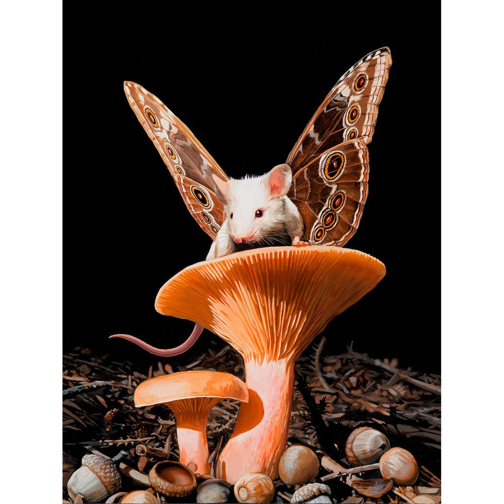 Diamond Paintings Art Full Drill Animal & Plants