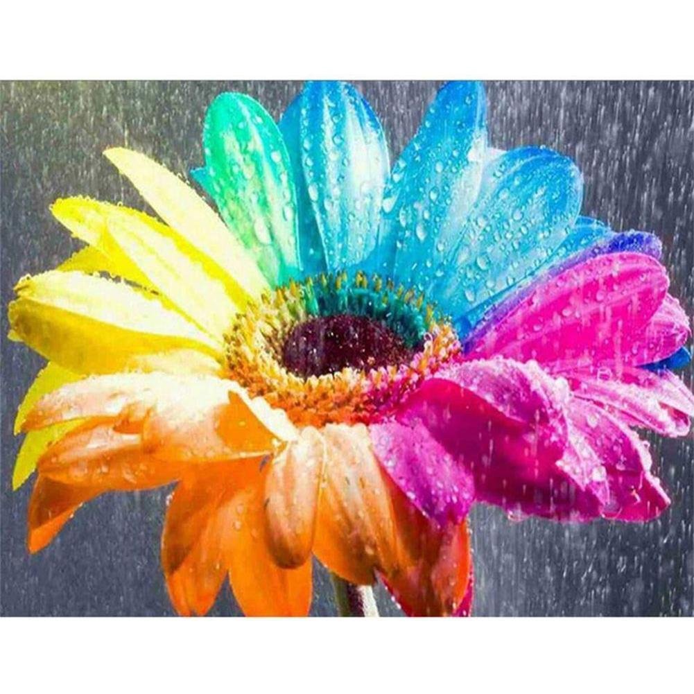 5D Diy Diamond Painting Kit Full Round Beads Colorful Flower