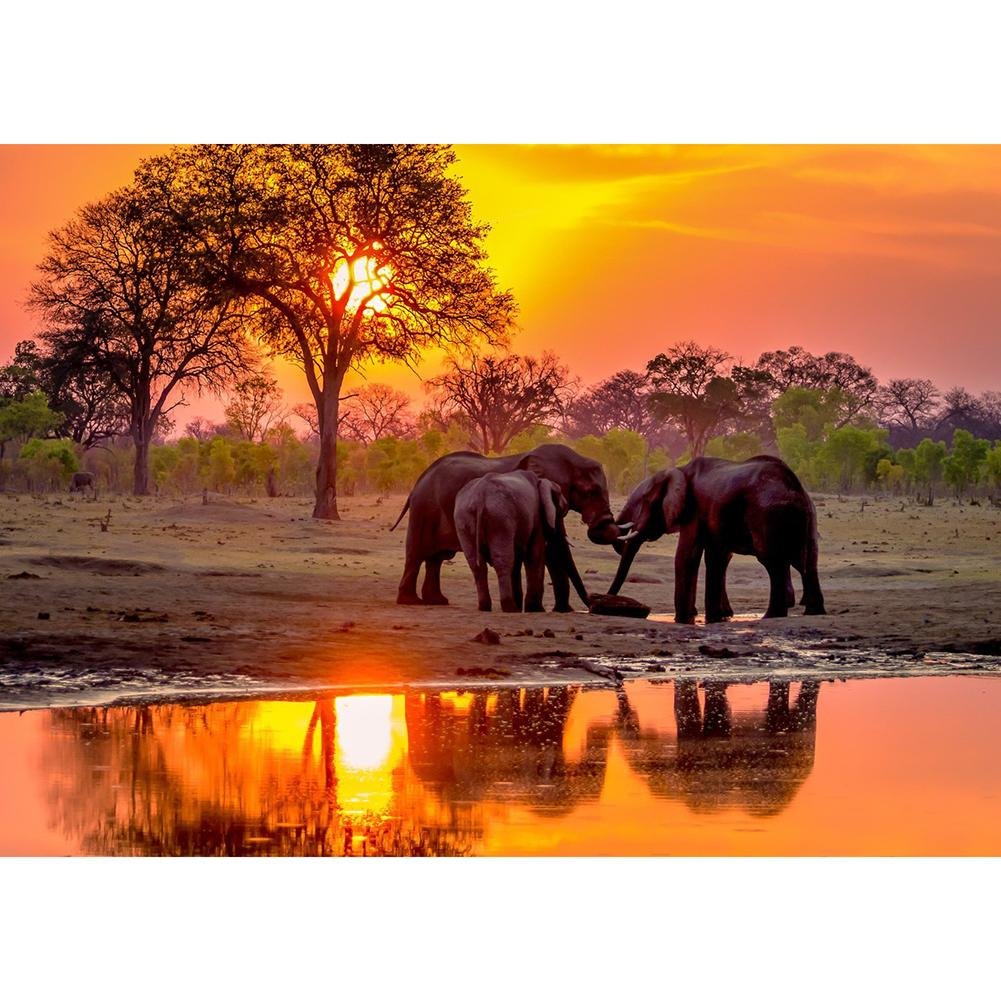5D Diy Diamond Painting Kit Full Round Beads Sunset Elephant