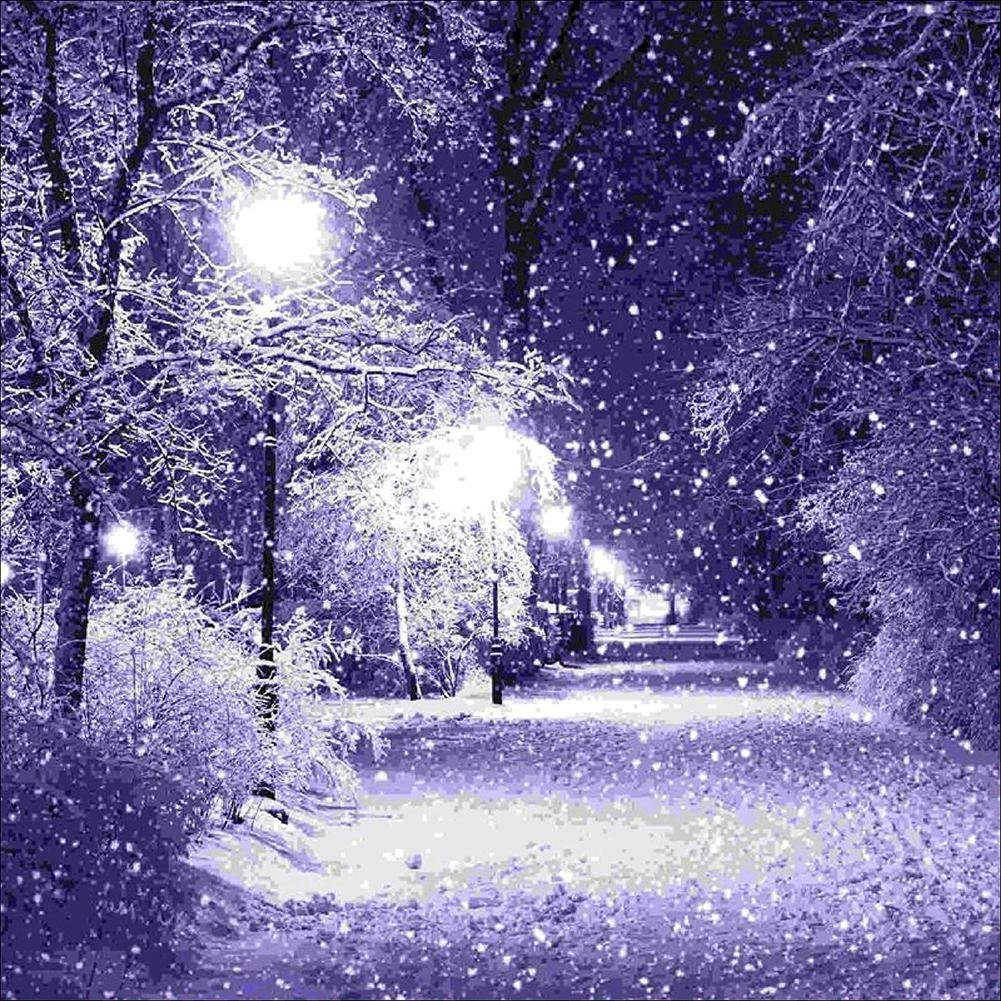 Diamond painting - Full Round - Purple Night