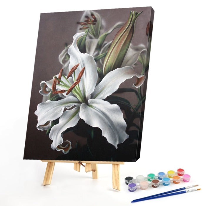 Special Flower 40x50cm Oil Paint By Numbers Picture DIY Painting