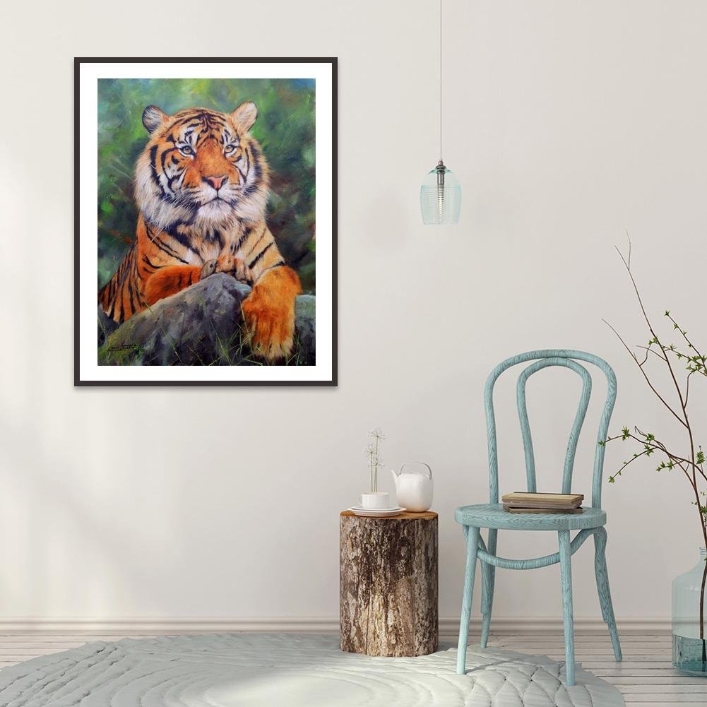 Pintura Diamante - Rodada Completa - Tigre H
