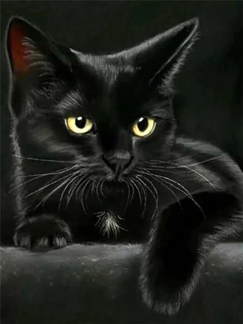 Cat Full Round Square Diamond Painting Kits