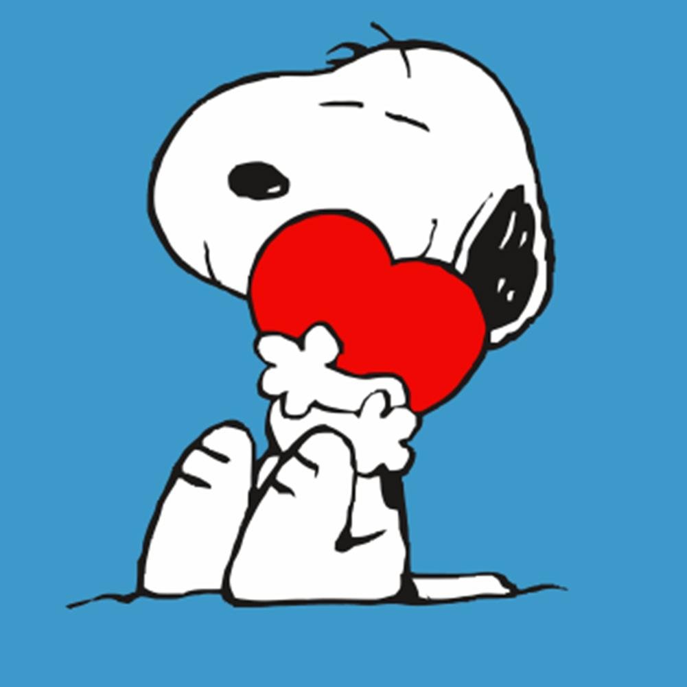 5D DIY Diamond Painting Kit - Full Round - Snoopy A