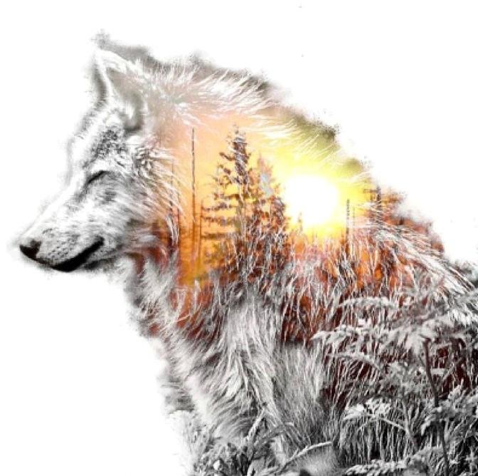 Novelty Wolf Rhinestones Mosaic Kits