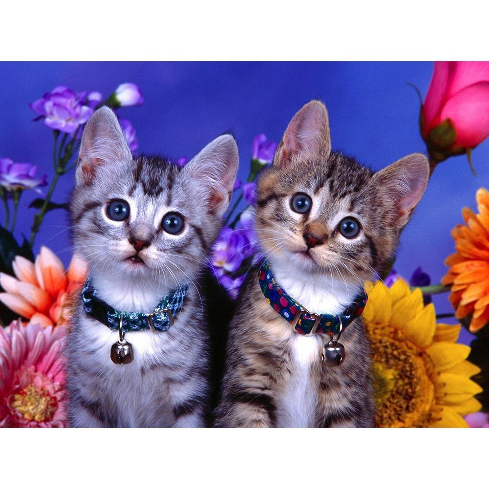 5D DIY Diamond Painting Kit Full Round Drill Two Cats/Kittens