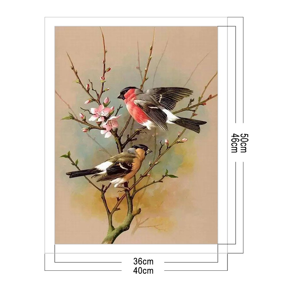 11ct Estampado Ponto Cruz - Pássaro (40*50cm)