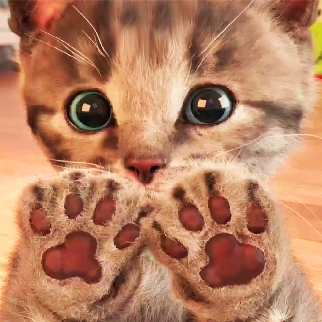 Diamond Painting full drill cat paws