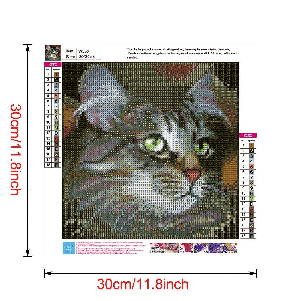 Diamond Painting - Full Round - Cat A