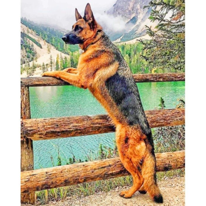 DIY Unframed Running Dog See the Scenery Oil Painting Picture By Numbers