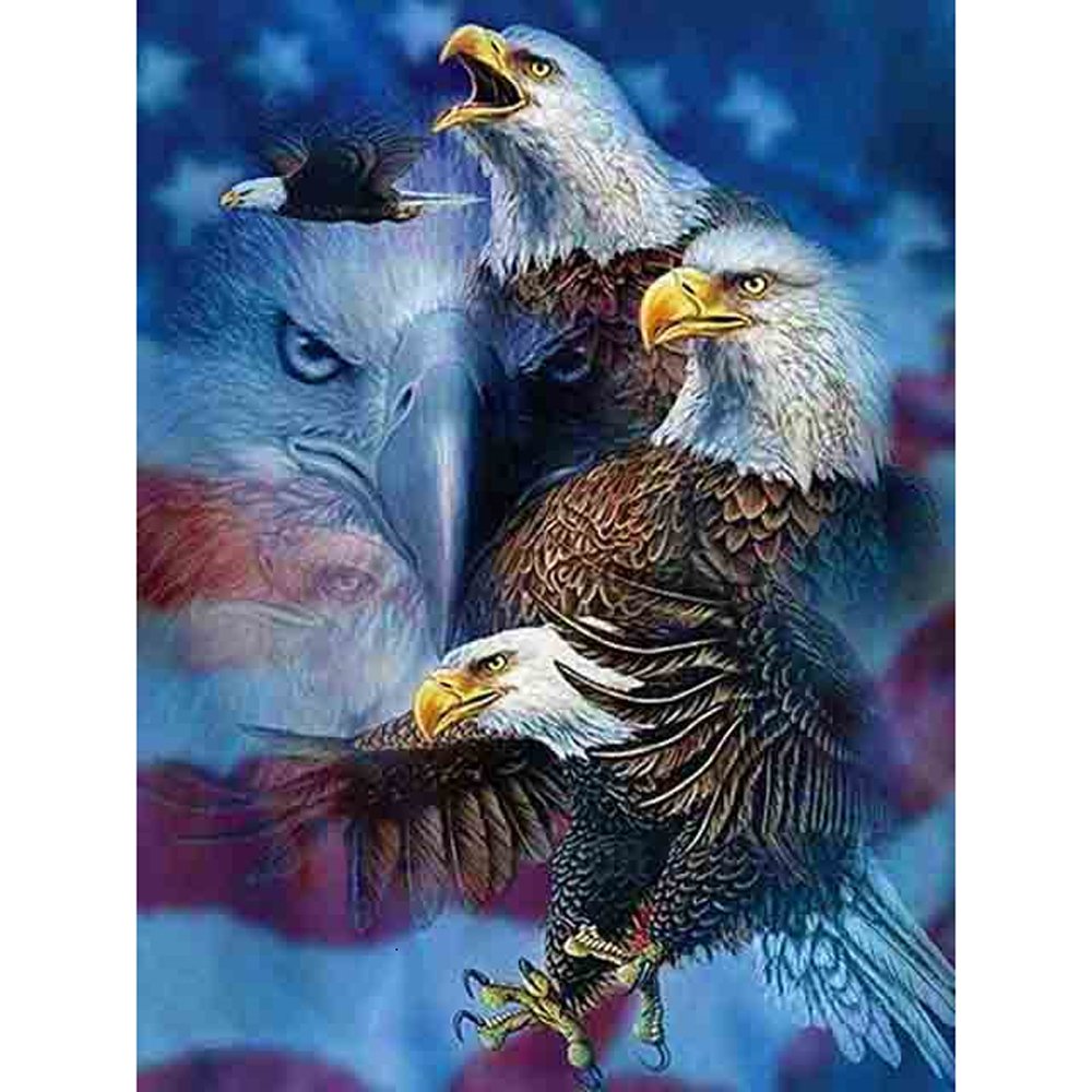 Diamond Paintings Art Full Drill US Flag Eagle