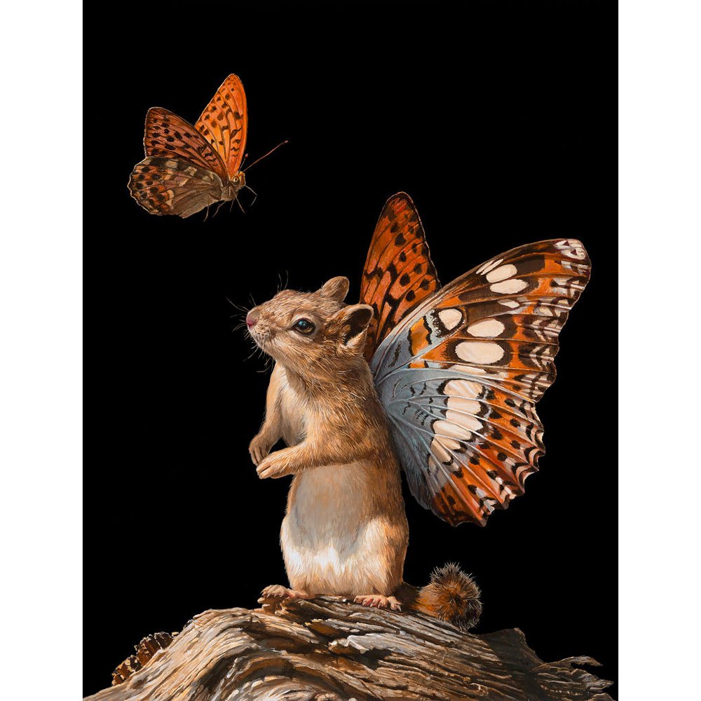 Diamond Paintings Art Full Drill Animal & Plants
