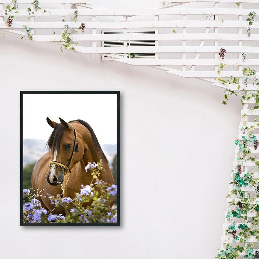 Pintura Diamante - Rodada Completa - Silêncio Cavalo Flores