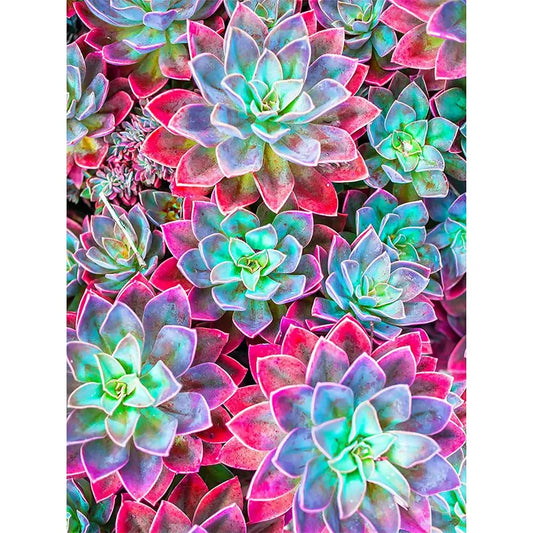 colorful succulents diamond art