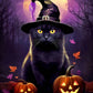 Halloween Evening Cat Diamond Painting